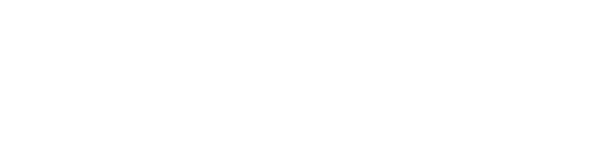 Impresa Sacchetti Logo